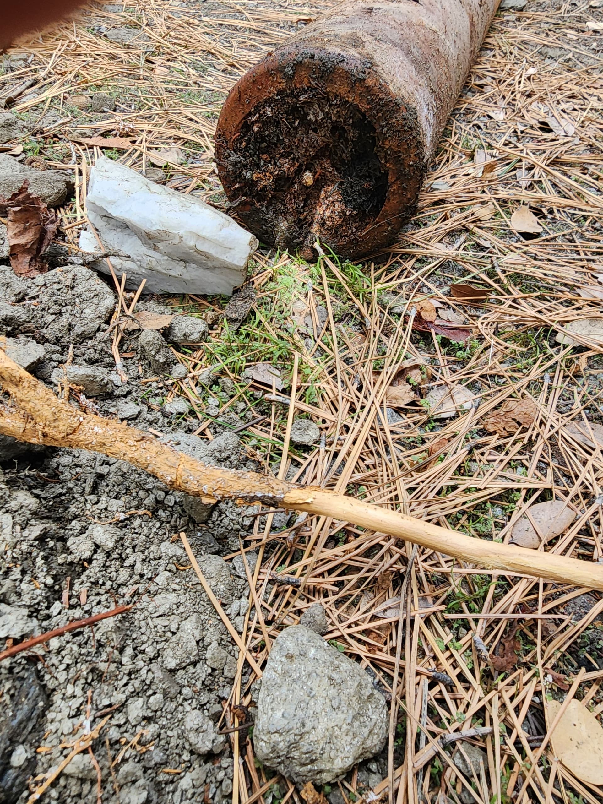 Septic System Upgrade and Sewer Line Cleanout in Wrightwood