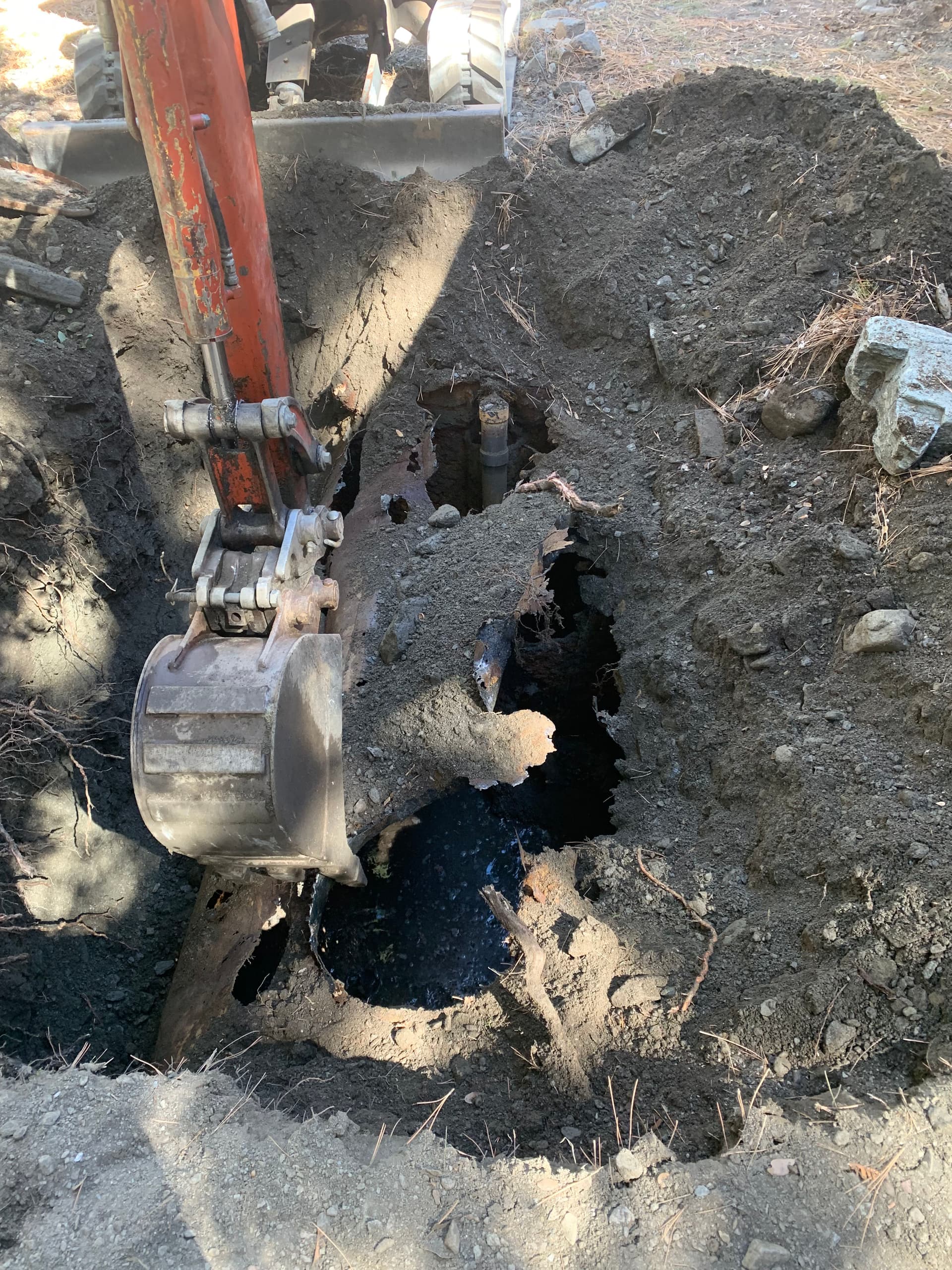 Septic System Upgrade and Sewer Line Cleanout in Wrightwood